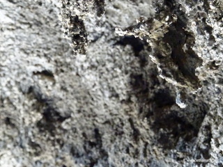 otta Chiovazzi-02-11-2020 12